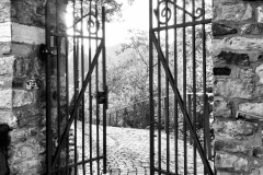DSC1253-Bearbeitet-Bearbeitet