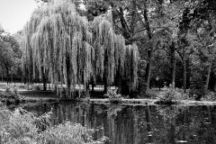 IMG_1554-144