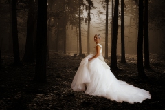 Dans-la-nature-copie
