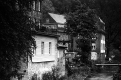 IMG_0001-copie-SW