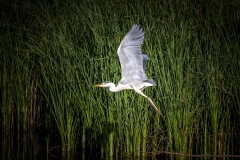 IMG_0026-Kopie