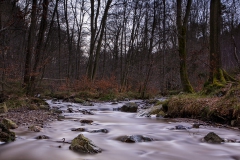 IMG_0030-copie