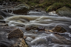 IMG_0044-copie