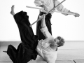 Jo nage