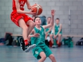 Basket1
