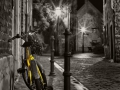 070223_40D_0001_©NicoDreesens