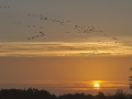 141010_7D_0015_©NicoDreesens
