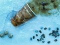 Eiskaffee_©NicoDreesens
